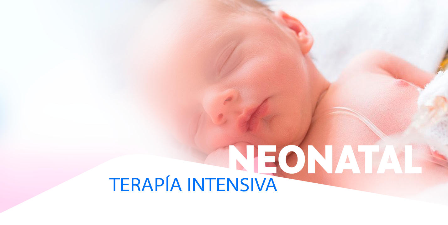 Servicio terapia intensiva neonatal encabezado